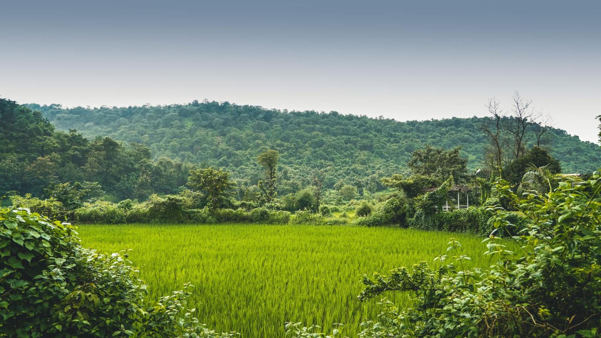 Whispering Peepul Resort Badlapur Eksteriør bilde